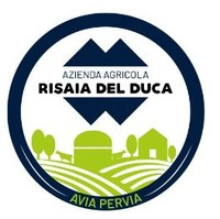 Risaia del Duca-Saveco Group (2023-2026)