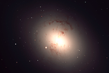 cosmos
