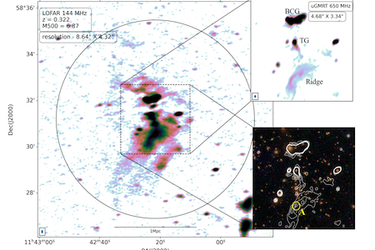 image from the article