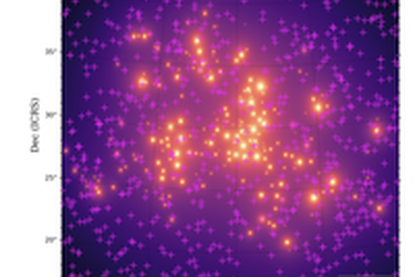 cosmos
