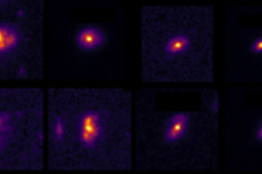 cosmos
