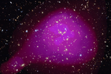 cosmos