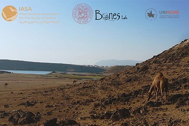 panorama oman