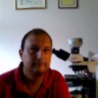 Michelangelo Fiorentino