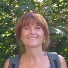 Coordinator: Carolina Castagnetti