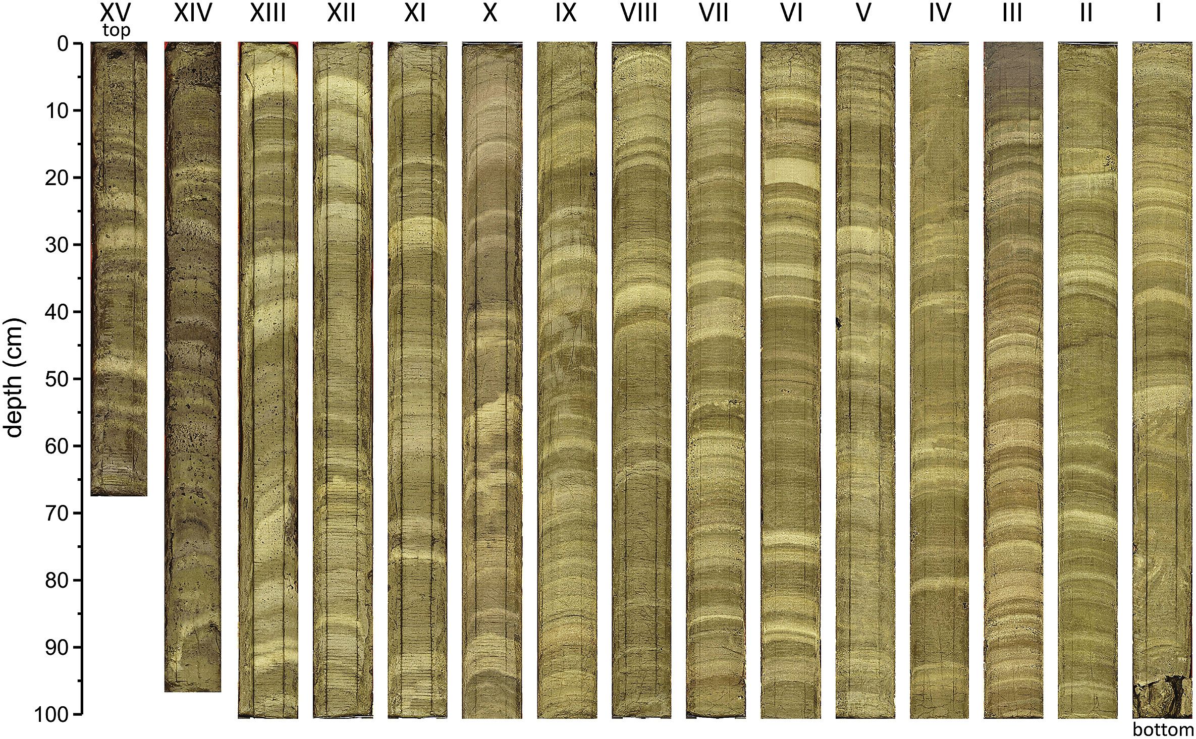 Dark and light sediment laminae